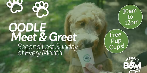 OODLE Meet & Greet