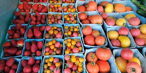 Bonita Springs Farmer's Market at Promenade at Bonita Bay