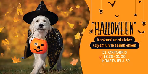 \ud83c\udf83\ud83d\udc3eHalloween ball\u012bte ar su\u0146iem\ud83d\udc3e\ud83c\udf83