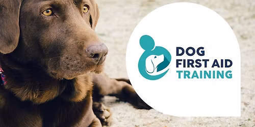 STRETFORD (Manchester) Dog First Aid Training