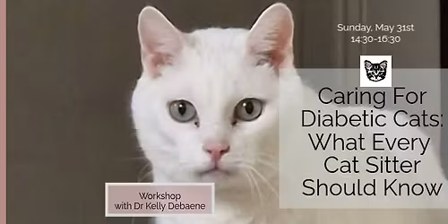 Caring For Diabetic Cats: What Every Cat Sitter Should Know (Workshop)