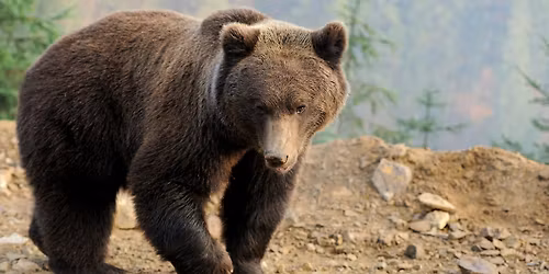 Bear Country Gear Initiative Program