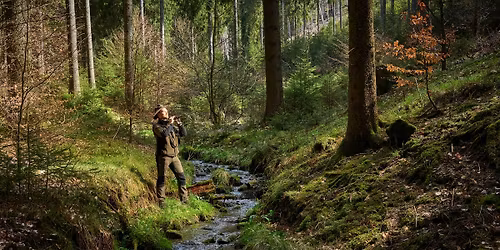 Musik im Wald