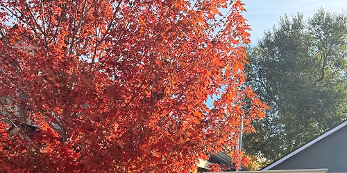 April\u2019s Sourdough Cottage - Farmstand