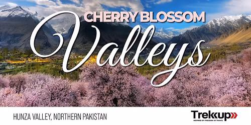 Cherry Blossom Valleys | Hunza Valley, Northern Pakistan