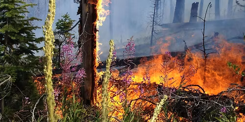 Pathways to Resilient Futures: Fire and Smoke in McCall