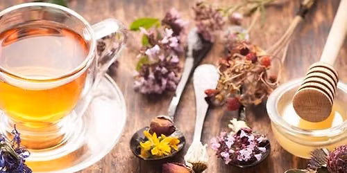 Medicinal Herbalism with Lori