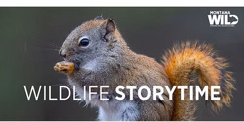 Wildlife Storytime