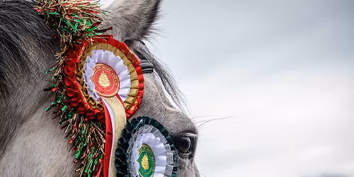 Festive Showjumping, Fancy dress, Pairs, Chase me Charlie 30cm +