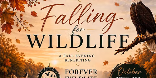 Falling for Wildlife \ud83c\udf42\ud83e\udd85