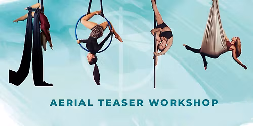 Workshop: Aerial Teaser - Try all apparatuses!