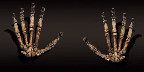 National Geographic Live: Cave of Bones - Lee Berger