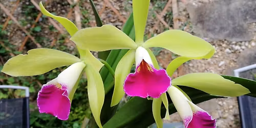 Monthly Meeting: Winter Social