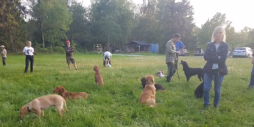 \u00d6ppen Hundtr\u00e4ning p\u00e5 Bogesund