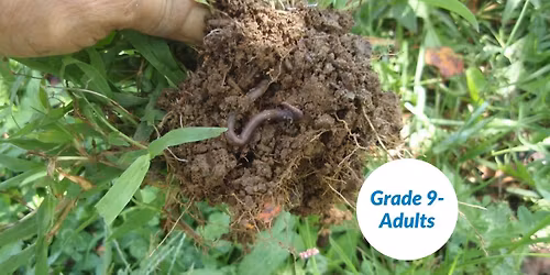 Loudoun's Invasive Worm Species