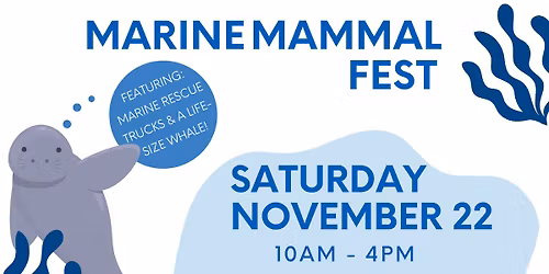 Marine Mammal Festival