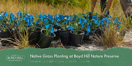 Native Grass Planting at Boyd Hill Nature Preserve