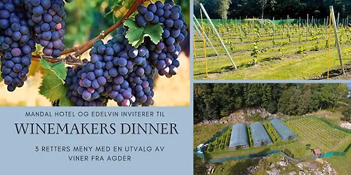 Winemakers dinner med lokale viner fra Farsund!