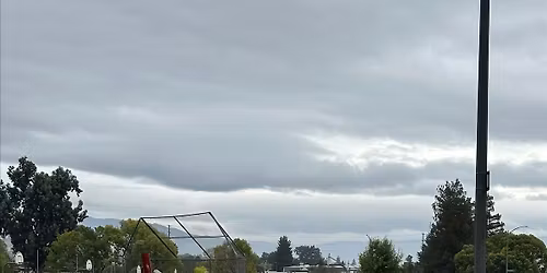 Our City Forest Community Planting at 7 Trees Education Center