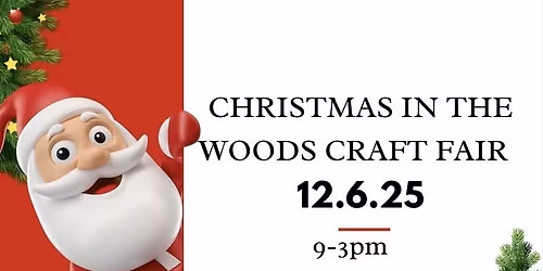 Christmas in the Woods