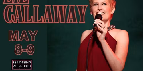 Liz Callaway: The Wizard and I: Liz Callaway Sings Stephen Schwartz