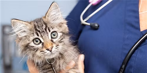 Free Vaccine & Microchip Clinic