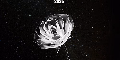 MIDNIGHT SKIES with Was Permanent, Silvia Lane, Paperboy, and Hypoxia LIVE at La La La\u2019s 