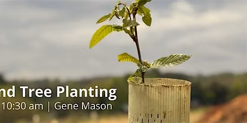 Cumberland Community Tree Planting