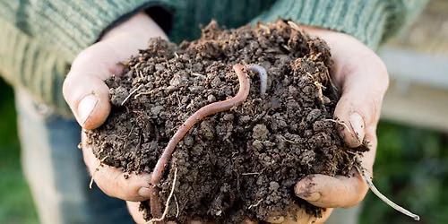 Vermicompost Workshop with Lincoln University 