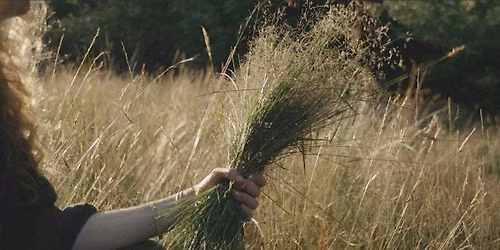 Seasonal Wreath Making with Field Studies Flora