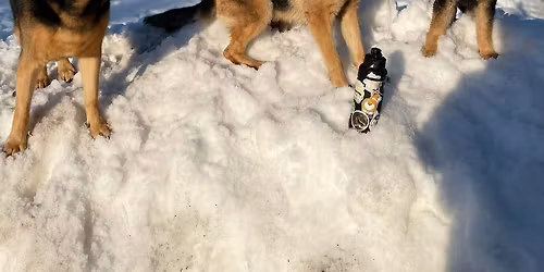 Heart of hastings Christmas tour 