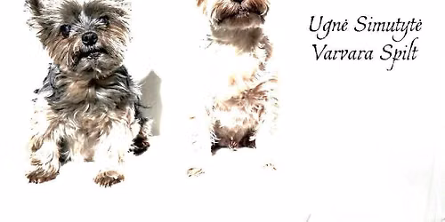 Grandshow EXPO \/ Ugn\u0117 Simutyt\u0117, Varvara Spilt