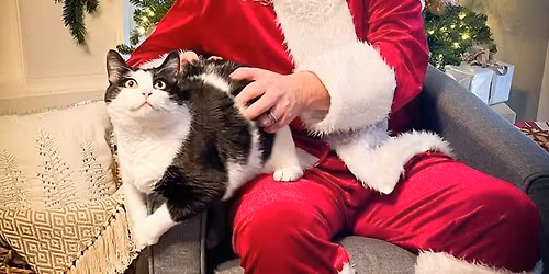 Christmas Pet Pictures with Santa