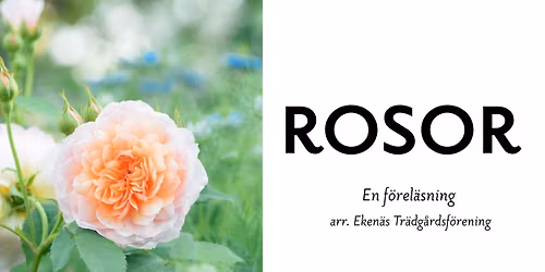 ROSOR - en f\u00f6rel\u00e4sning