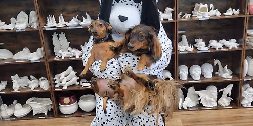 Pawtastic Puppy Photos!