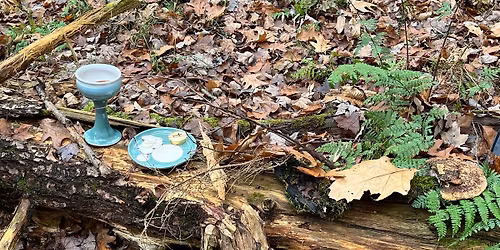 Thanksgiving Day Service