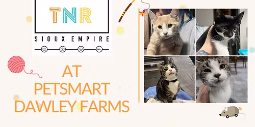 Love at First Meow: Adoption Meet & Greet