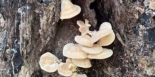 Det er ikke de unge, den er gal med \u2013 det er samfundet