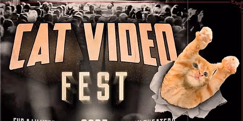 Quay Arts Presents - Cat Video Fest 25