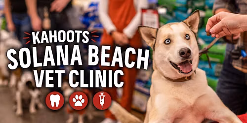 Low Stress Vet Clinic and Teeth Cleaning