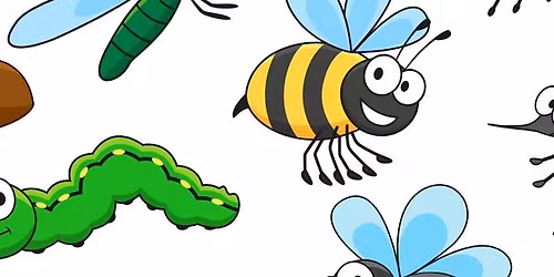 Insect Pinning