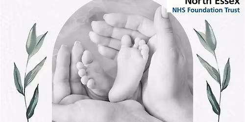 Infant Feeding Workshop: The Early Days