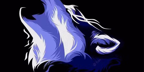 Aulaklubi - Wolfskin duo