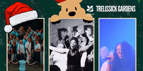 Christmas Gospel at Trelissick Gardens 