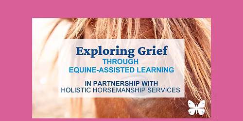 Exploring Grief through Equine Assisted Learning
