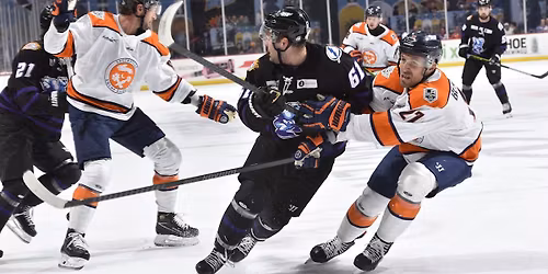 Greenville Swamp Rabbits at Orlando Solar Bears