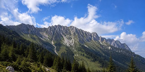 \ud83c\udfd4\ufe0f Drume\u021bie la Refugiul Diana \u2013 Piatra Craiului