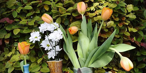 6th Annual Mother\u2019s Day Market