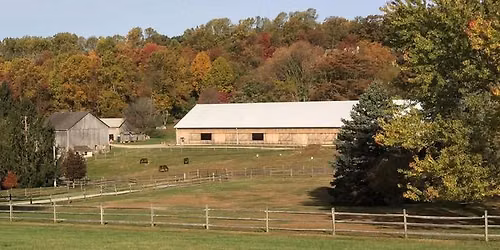 Dunmovin Dressage