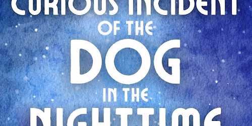 Curious Incident of the Dog in the Night Time Auditions 